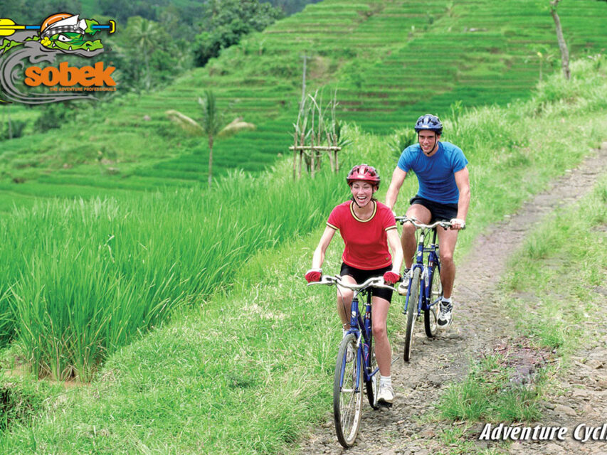 bali bike tour