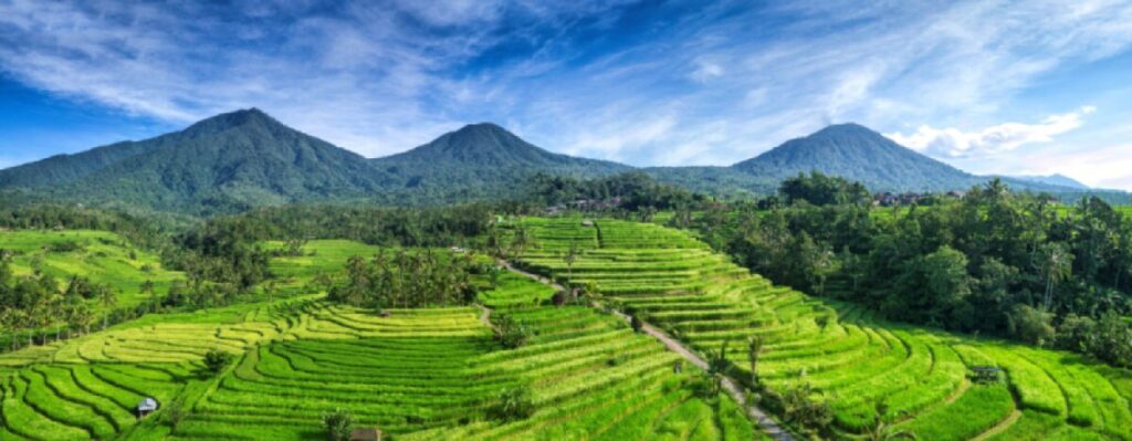 top things to do in bali