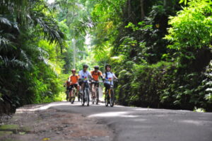 active things to do in bali