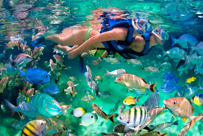 snorkeling amed bali