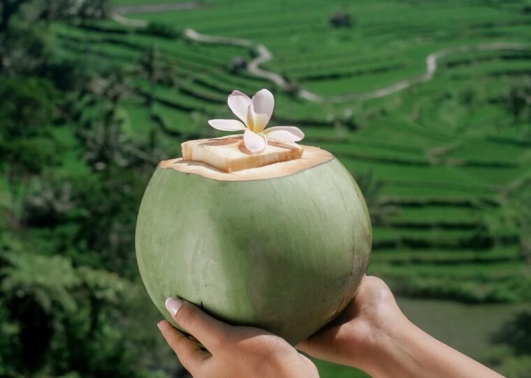 Fresh coconut drink held above green rice terraces in Bali