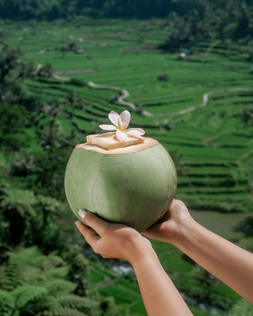Fresh coconut drink held above green rice terraces in Bali