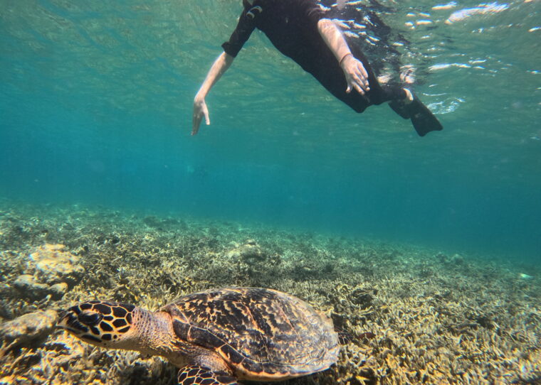 Adventure Holiday Bali