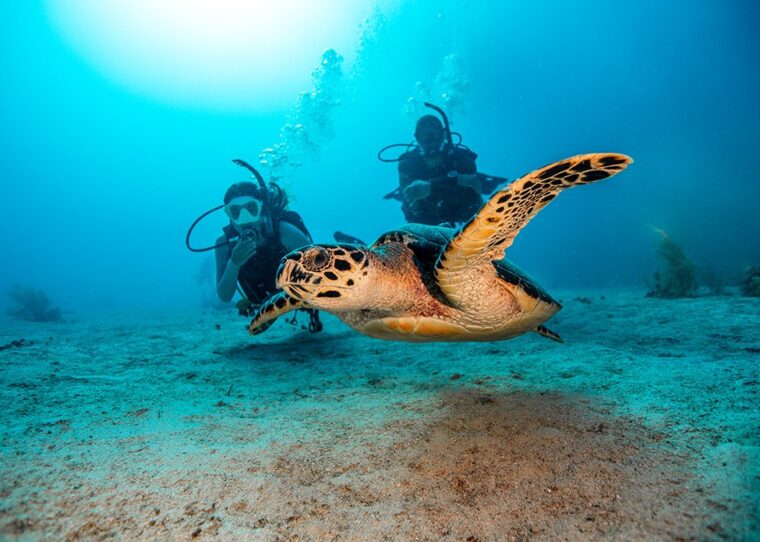 scuba diving in bali