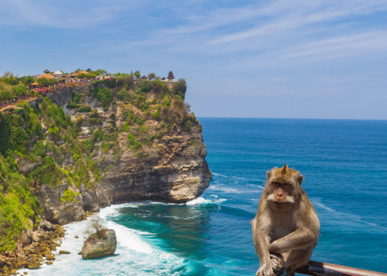 Things to do in Uluwatu