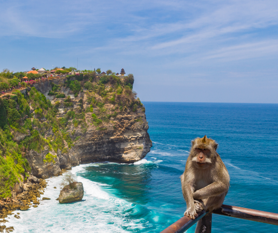 Things to do in Uluwatu